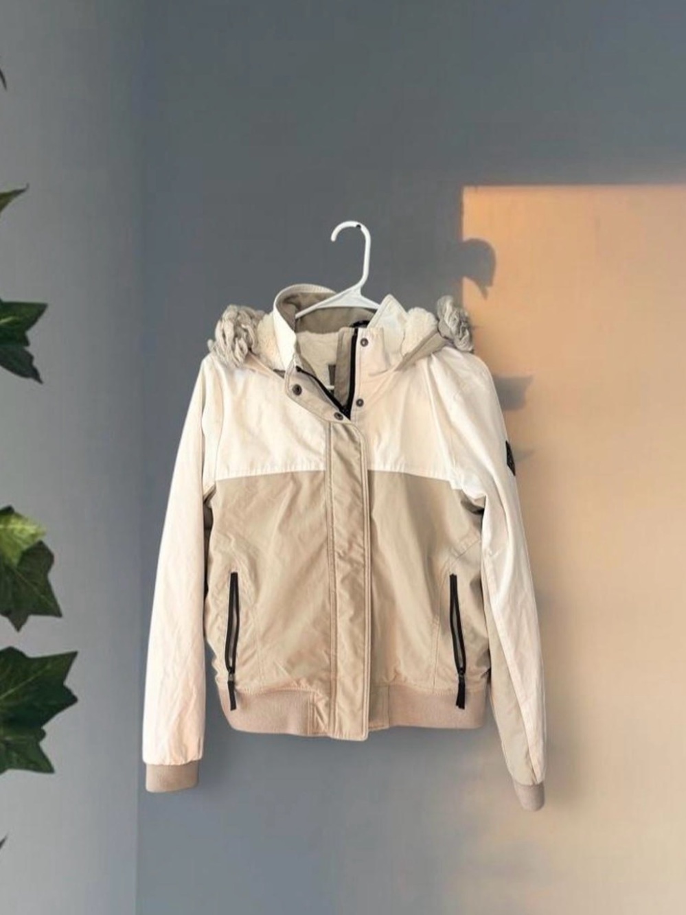 Hollister Two-Tone Hooded Bomber Jacket in Cream and Beige